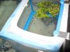 4-24-2011 Easter 002.jpg