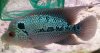 Thumba_2011-04-28_21-49-34.jpg