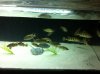 IMG_1553.JPG