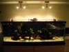 new_halogen_light_02.jpg