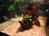 new_halogen_light_05.jpg