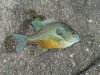 2011-04-30 17.19.03.jpg