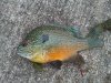 2011-04-30 17.34.46.jpg