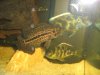 Picture 019.jpg
