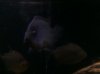 2011-05-02_20-28-32_485.jpg