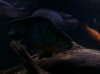 2011-05-02_20-28-25_675.jpg