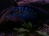 2011-05-02_20-28-05_869.jpg