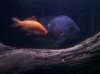 2011-05-02_20-26-38_27.jpg