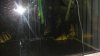 DSC01099.JPG