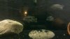 2011-05-06_11-44-02_500.jpg