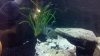 2011-05-06_11-45-03_867.jpg