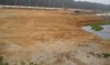2011-04-30 07.21.19.jpg