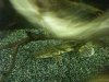 IMG_0196.JPG