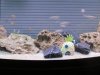 IMG_0051.JPG