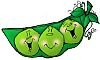 securedownload3peas.jpg