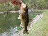 PatLargemouth18.jpg