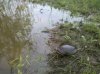 IMG_20110514_124858.jpg