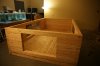 DSC08286.JPG