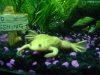 DSC02045.JPG