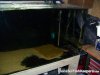 100_7242.JPG