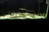 white substrate 1 (126).JPG
