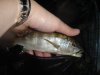 DSC04723.JPG