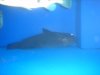 DSC04486.JPG