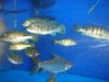 DSC04491.JPG
