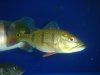 DSC04453.JPG