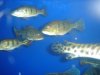 DSC04458.JPG