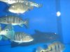 DSC04462.JPG