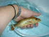 DSC04262.JPG