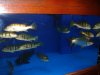 DSC04304.JPG
