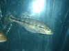 DSC04240.JPG