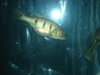 DSC04244.JPG