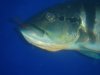DSC04206.JPG