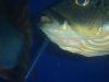 DSC04207.JPG