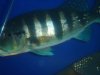 DSC04228.JPG