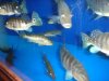 DSC04169.JPG