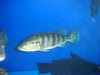 DSC04179.JPG