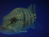 DSC03986.JPG