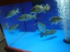 DSC03992.JPG