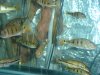 DSC03224.JPG