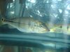 DSC03868.JPG