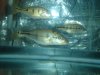 DSC03873.JPG
