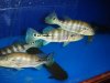 DSC03199.JPG