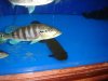 DSC03200.JPG