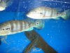 DSC03130.JPG