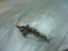 DSC00895.JPG
