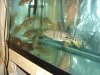 DSC01639.JPG